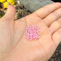 25g Miyuki Rocaille 8/0 Seed Beads Opaque carnation Pink Alabaster RR-535