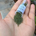 7.5g Miyuki Delica 11/0 Seed Beads, Duracoat Opaque Dyed Olive DB2357