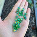 25pcs Adabele Austrian Faceted Round Crystal Beads #5000, Peridot Green AB, Size Selections: 6mm/8mm