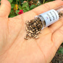 10g Miyuki Half Tila Seed Beads 5x2.3mm, Matte Metallic Dark Bronze (HTL-2006)