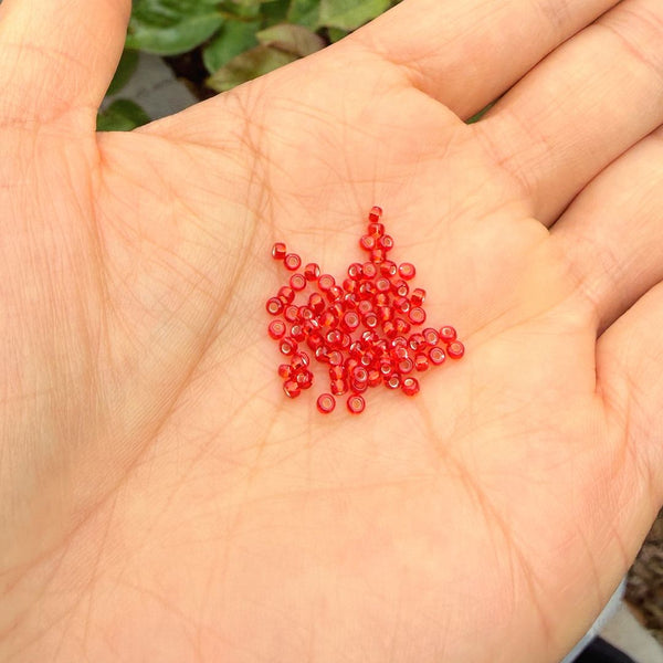 25g Miyuki Rocaille 11/0 Round Seed Beads Silver-lined Flame Red RR-10