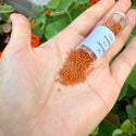 7.5g Miyuki Delica 11/0 Seed Beads, Duracoat Opaque Persimmon Orange DB2108