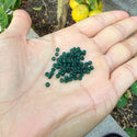 25g Miyuki Rocaille 8/0 Seed Beads Translucent Matte Emerald Green RR-156F