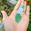 7.5g Miyuki Delica 11/0 Seed Beads, Opaque Rainbow Green DB163