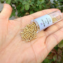 30g Miyuki Delica 11/0 Seed Beads, Duracoat Opaque Galvanized Gold DB1832