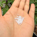 25g Miyuki Rocaille 11/0 Round Seed Beads Opaque ceylon White Pearl RR-420