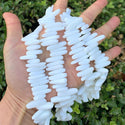 Natural White Alabaster Gemstone Stick Point Beads, Irregular, 7mm-23mm Long, Hole ID 1mm 1 Strand/15 Inch, GZ5-18
